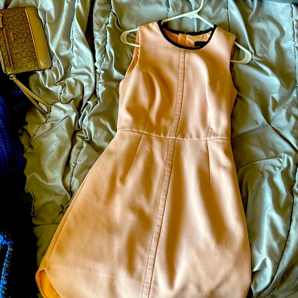 Light pink Banana Republic high-waisted dress